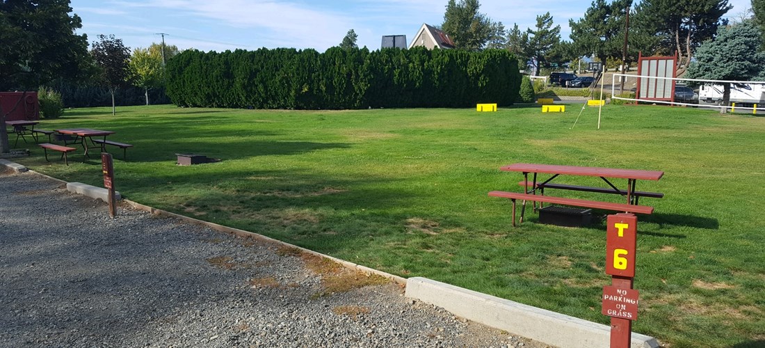 Best free hookup site seattle times Best free hookup site seattle times